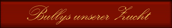 Bullys unserer Zucht