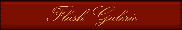Flash Galerie