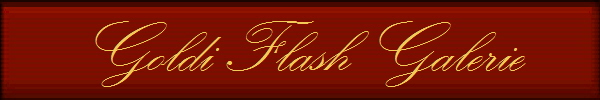 Goldi Flash Galerie