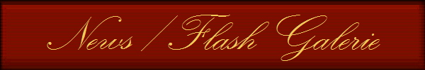News / Flash Galerie