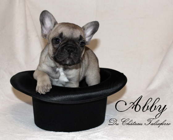 Abby 001