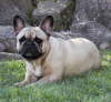 Fanny 006