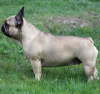 Fanny 019